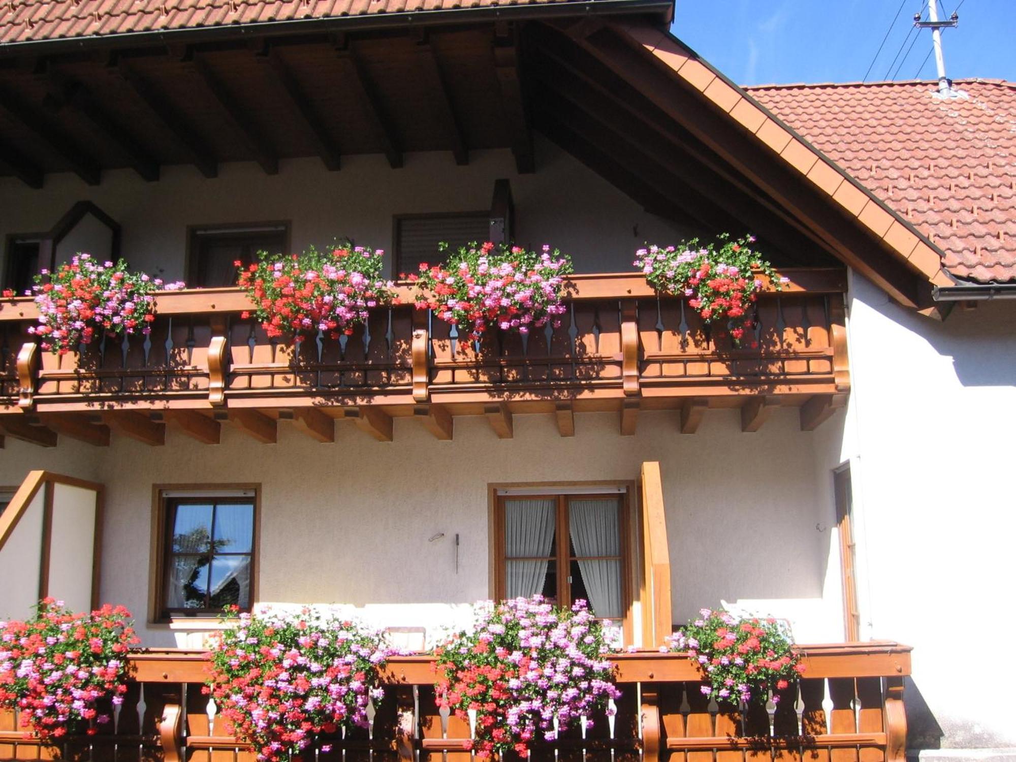 Hotel Gasthaus Zum Hirschen Simonswald Eksteriør billede
